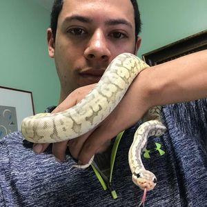 Meet your Posher, Tevin